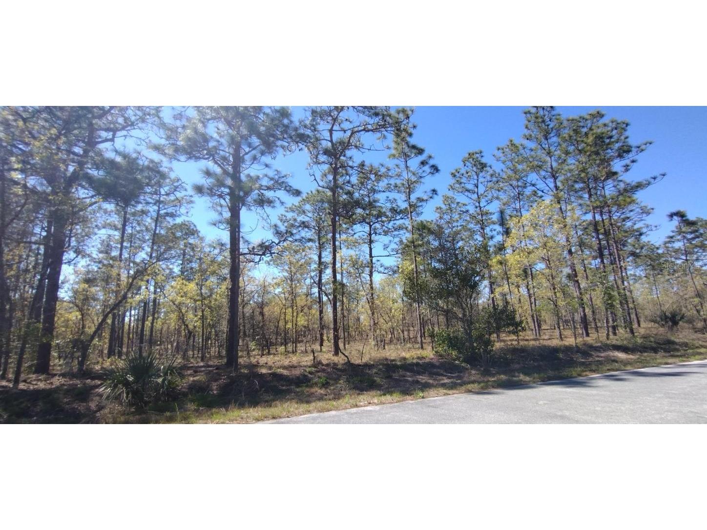 Lot 43 NW Narcissus Road Dunnellon FL 34431 OM654874 image1