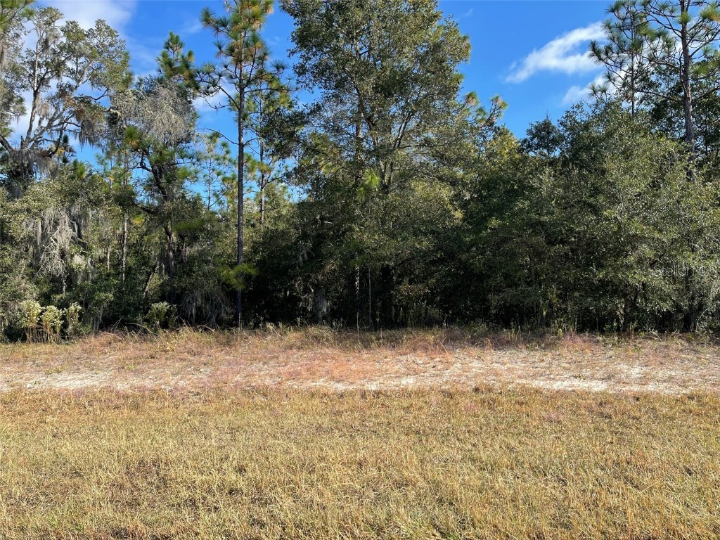 Lot 44 SW 102nd Street Road Dunnellon FL 34431 - RAINBOW RIVER TB8340563 image1