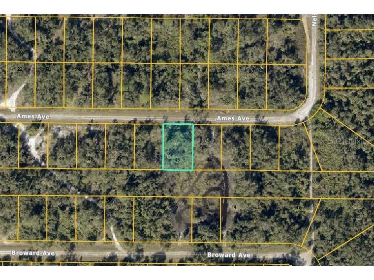 Lot #45 Ames Avenue North Port FL 34291 D6147283 image1