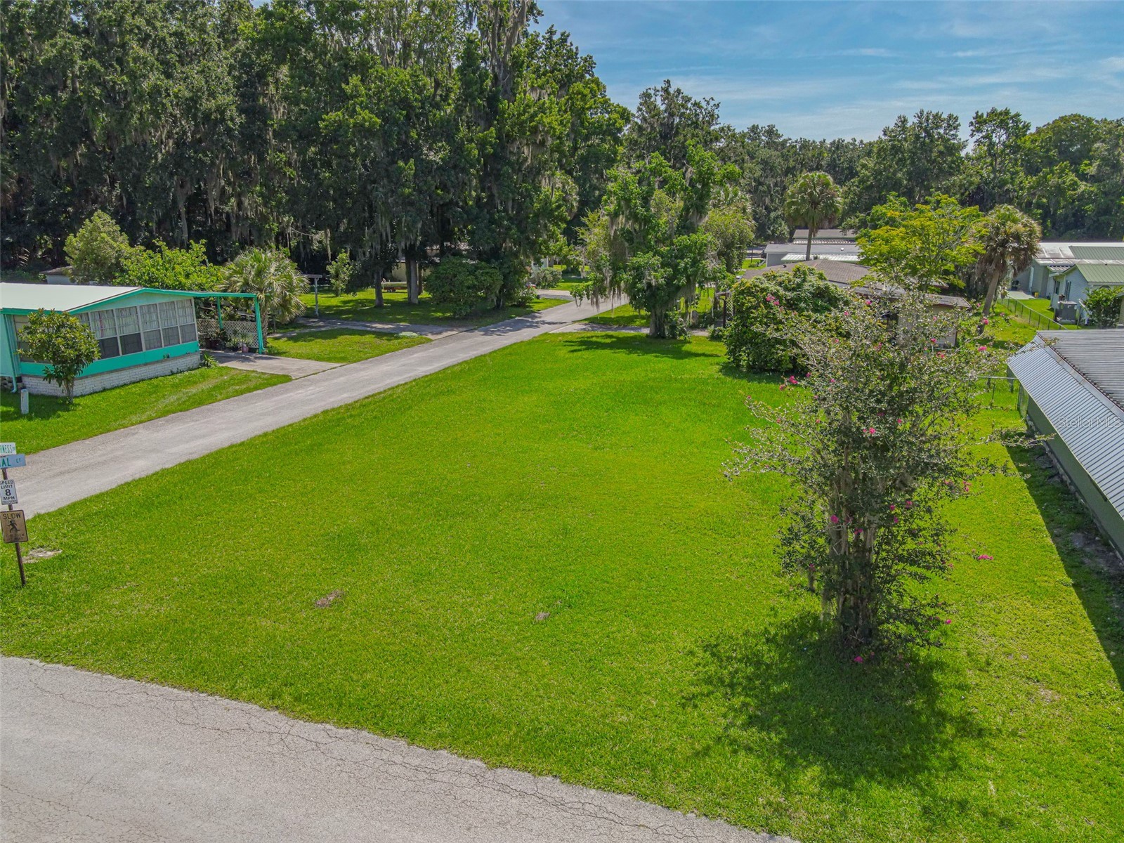 Lot 45 Canal Ct Lake Panasoffkee FL 33538 G5112499 image2