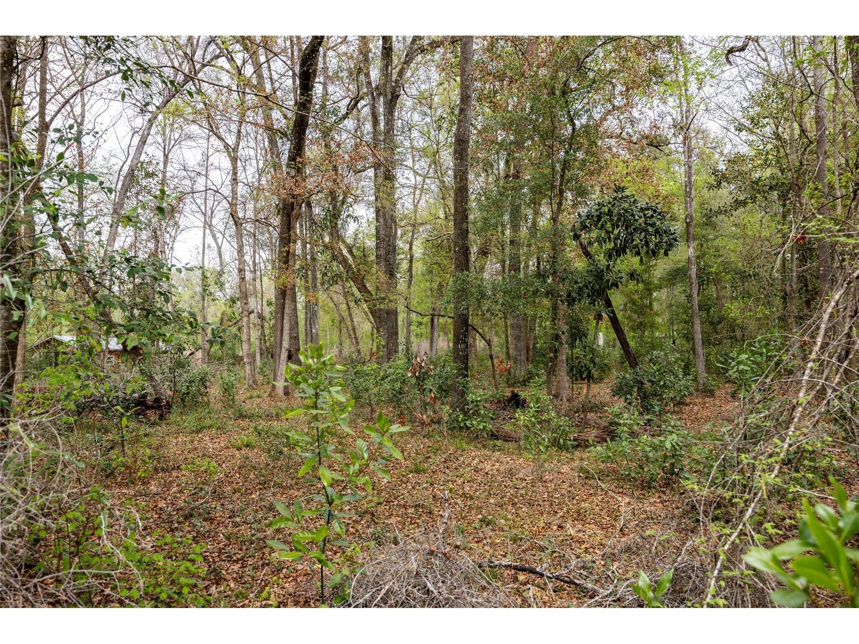 Lot 45 SW Boston Terrace Fort White FL 32038 GC538112 image1