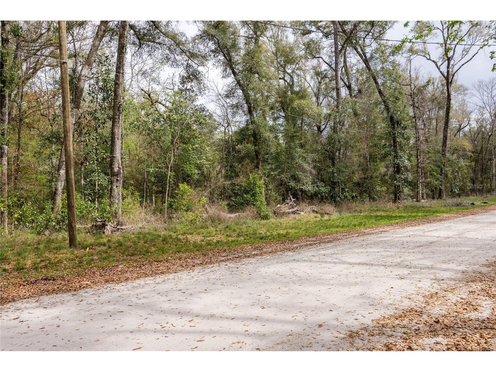 Lot 45 SW Boston Terrace Fort White FL 32038 GC538112 image6