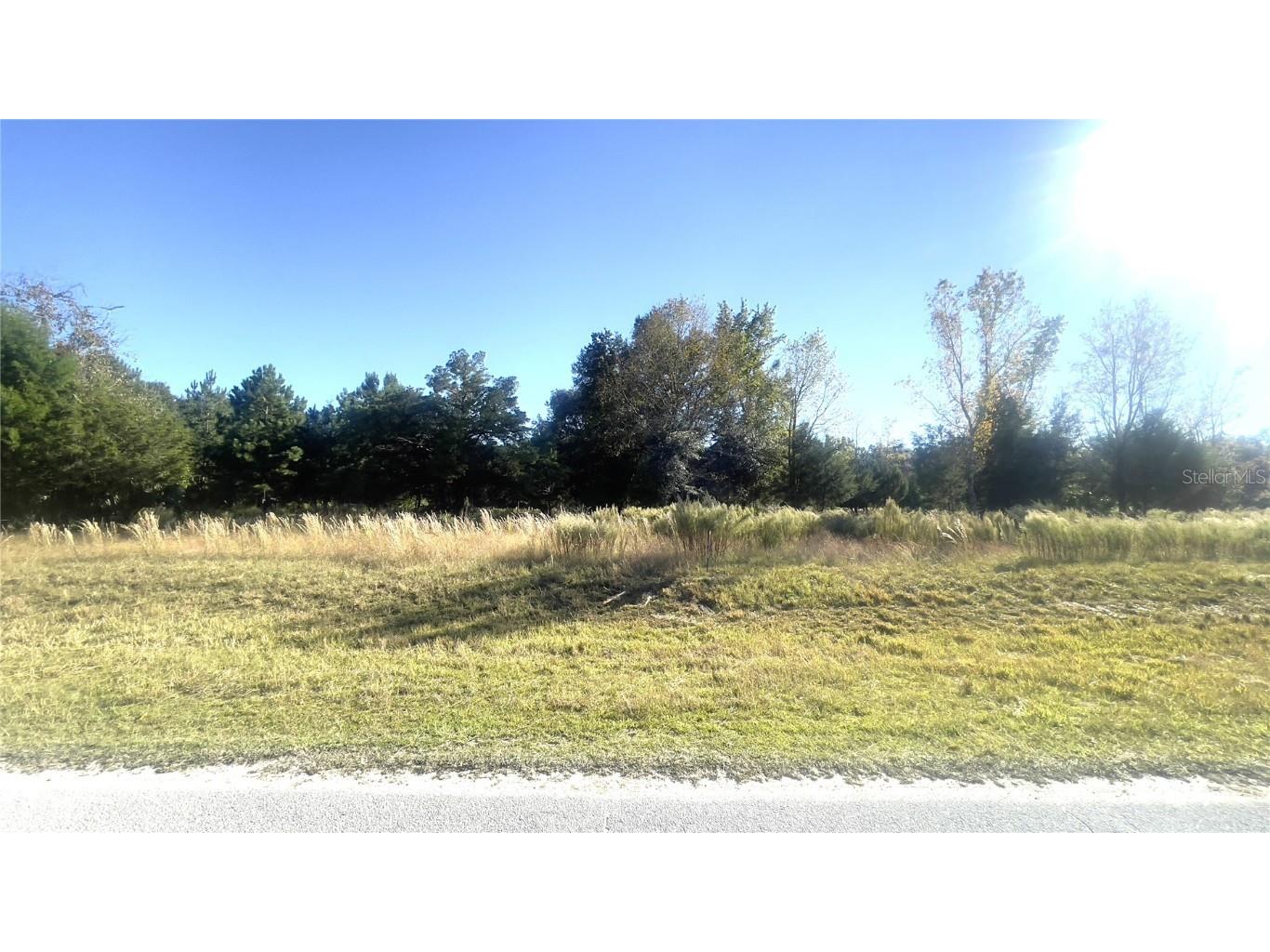 Lot 46 NW 73rd Street Chiefland FL 32626 GC535481 image2