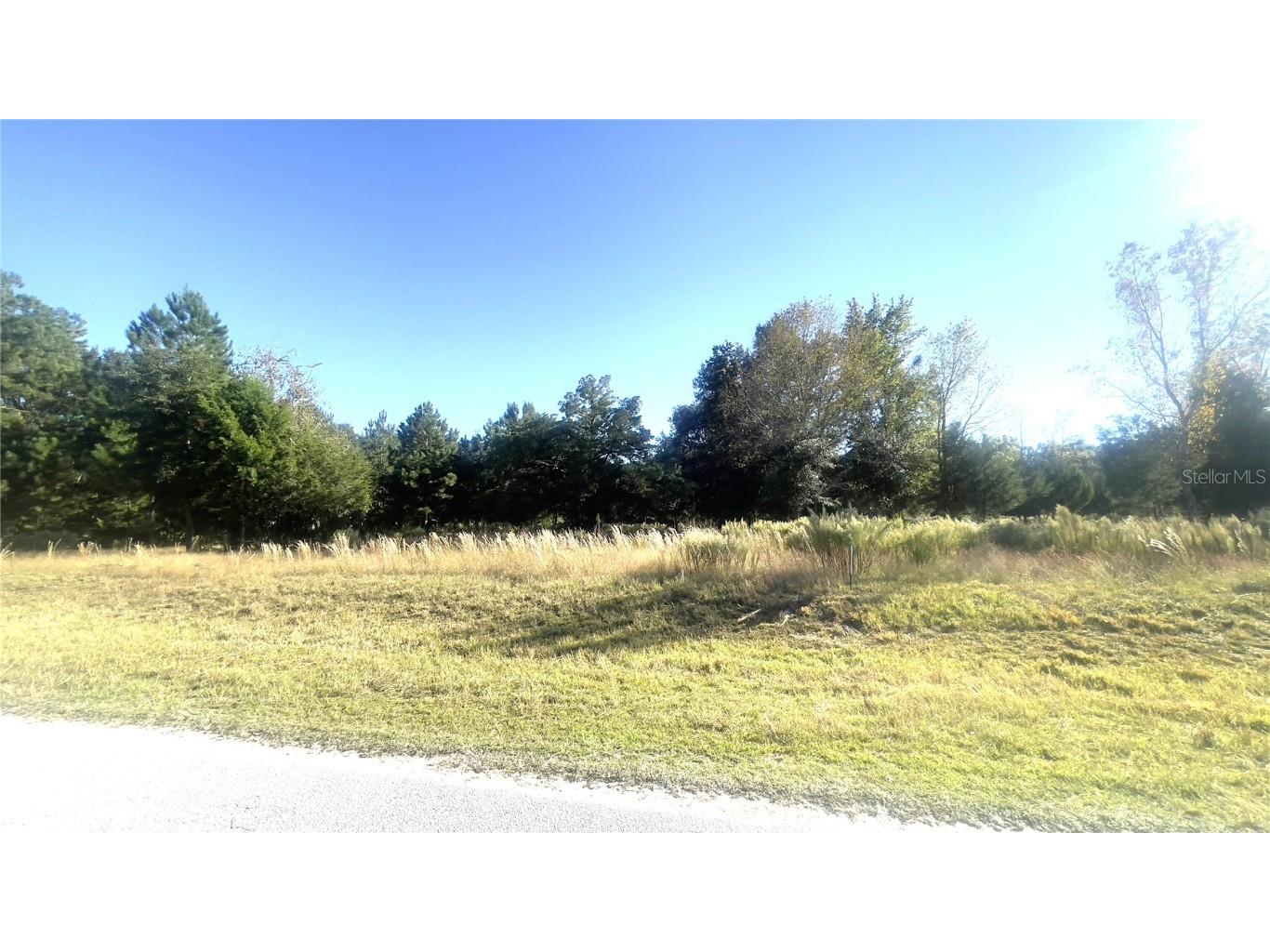 Lot 46 NW 73rd Street Chiefland FL 32626 GC535481 image3