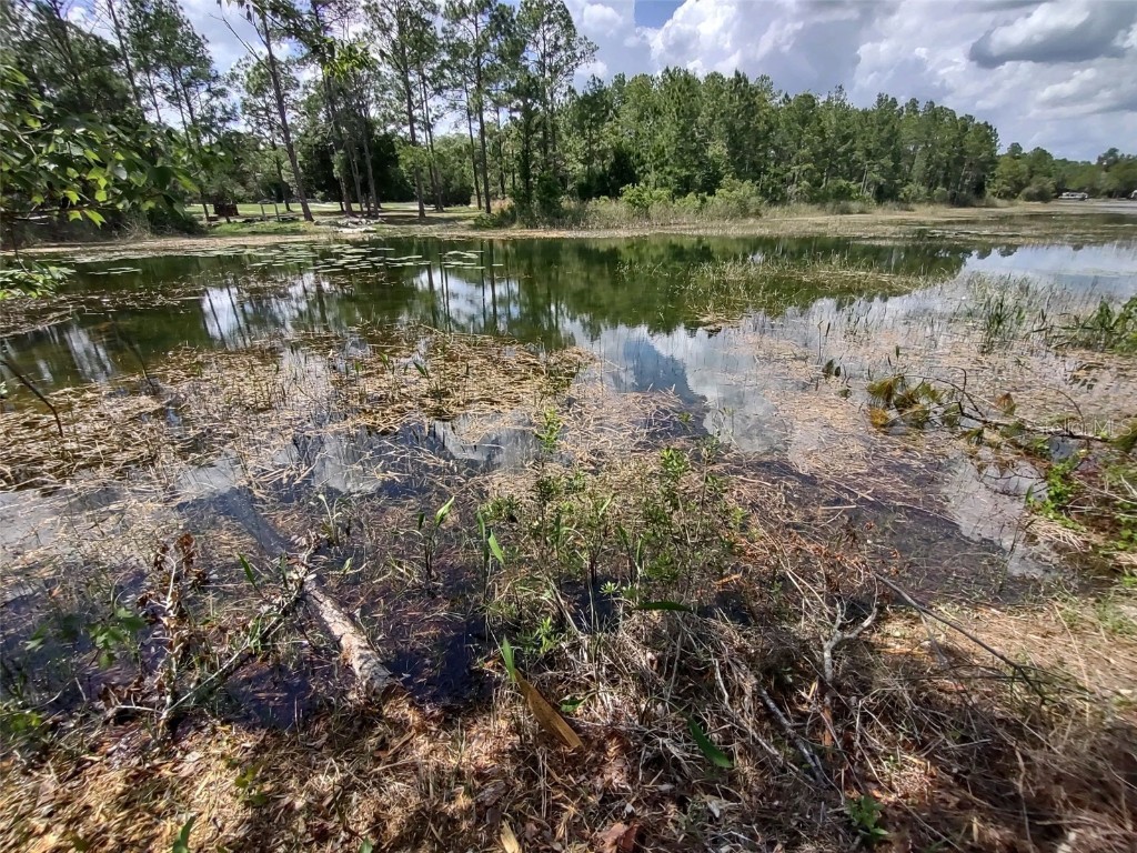 Lot 46 Otter Drive Webster FL 33523 - Long Lake W7851005 image1