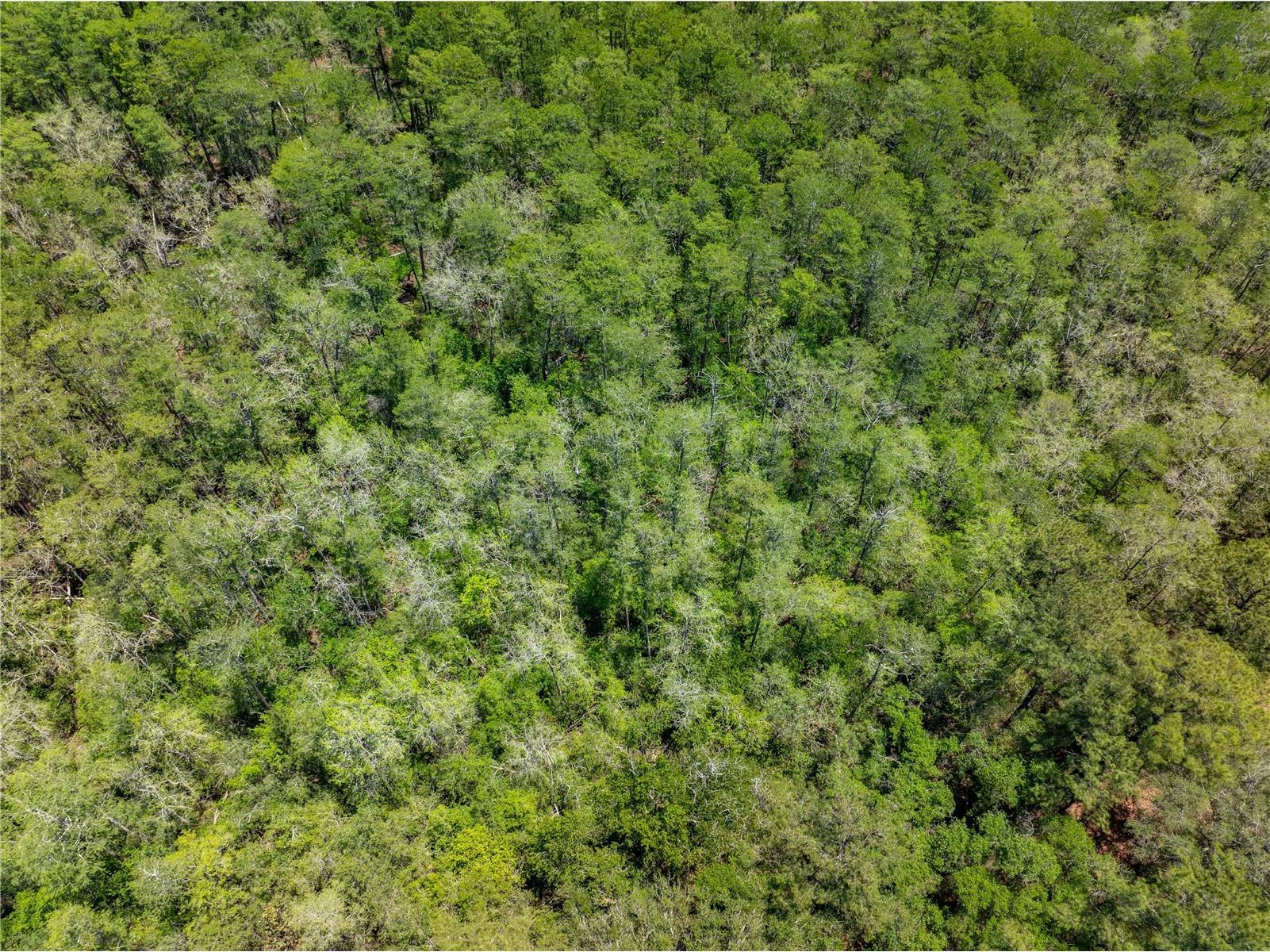 Lot 46 SW Roanoke Terrace Fort White FL 32038 GC540541 image10