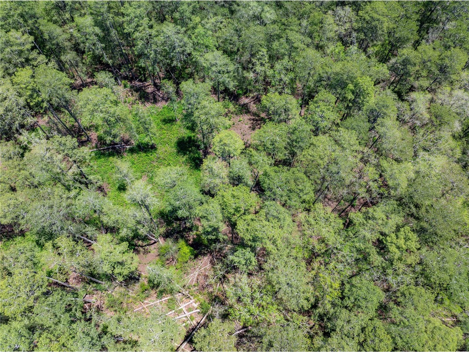 Lot 46 SW Roanoke Terrace Fort White FL 32038 GC540541 image11