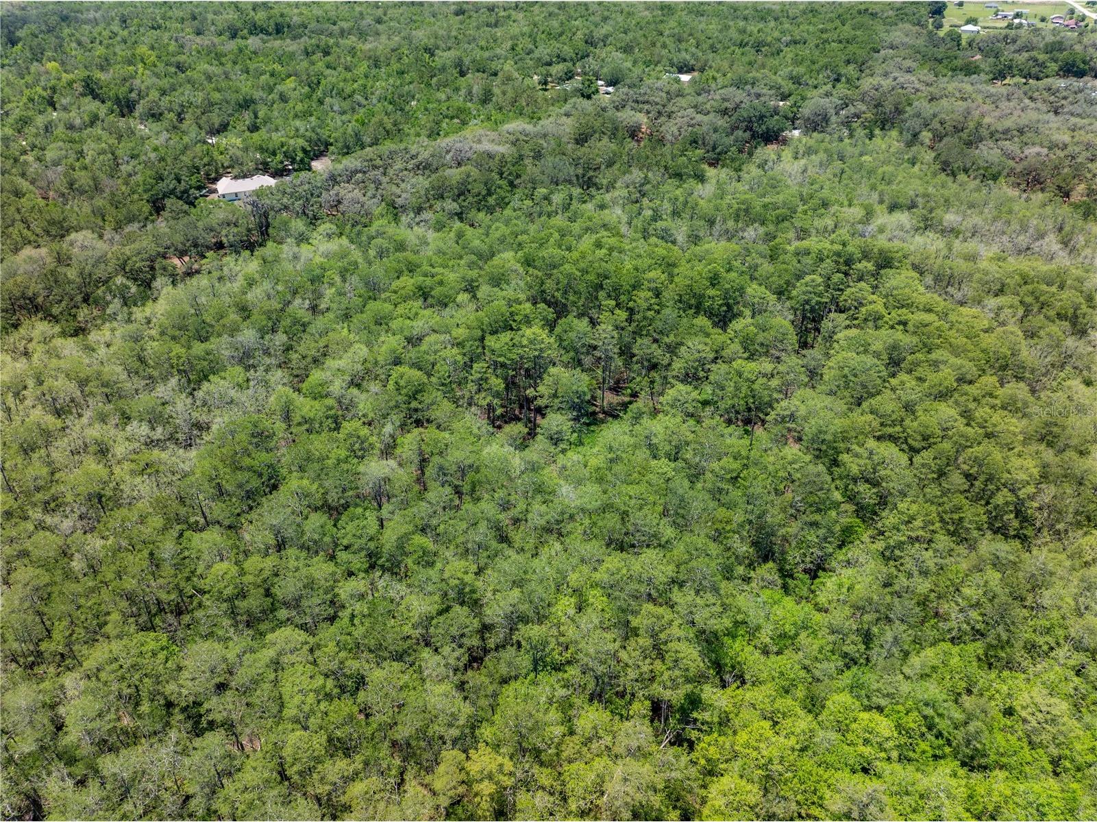 Lot 46 SW Roanoke Terrace Fort White FL 32038 GC540541 image12