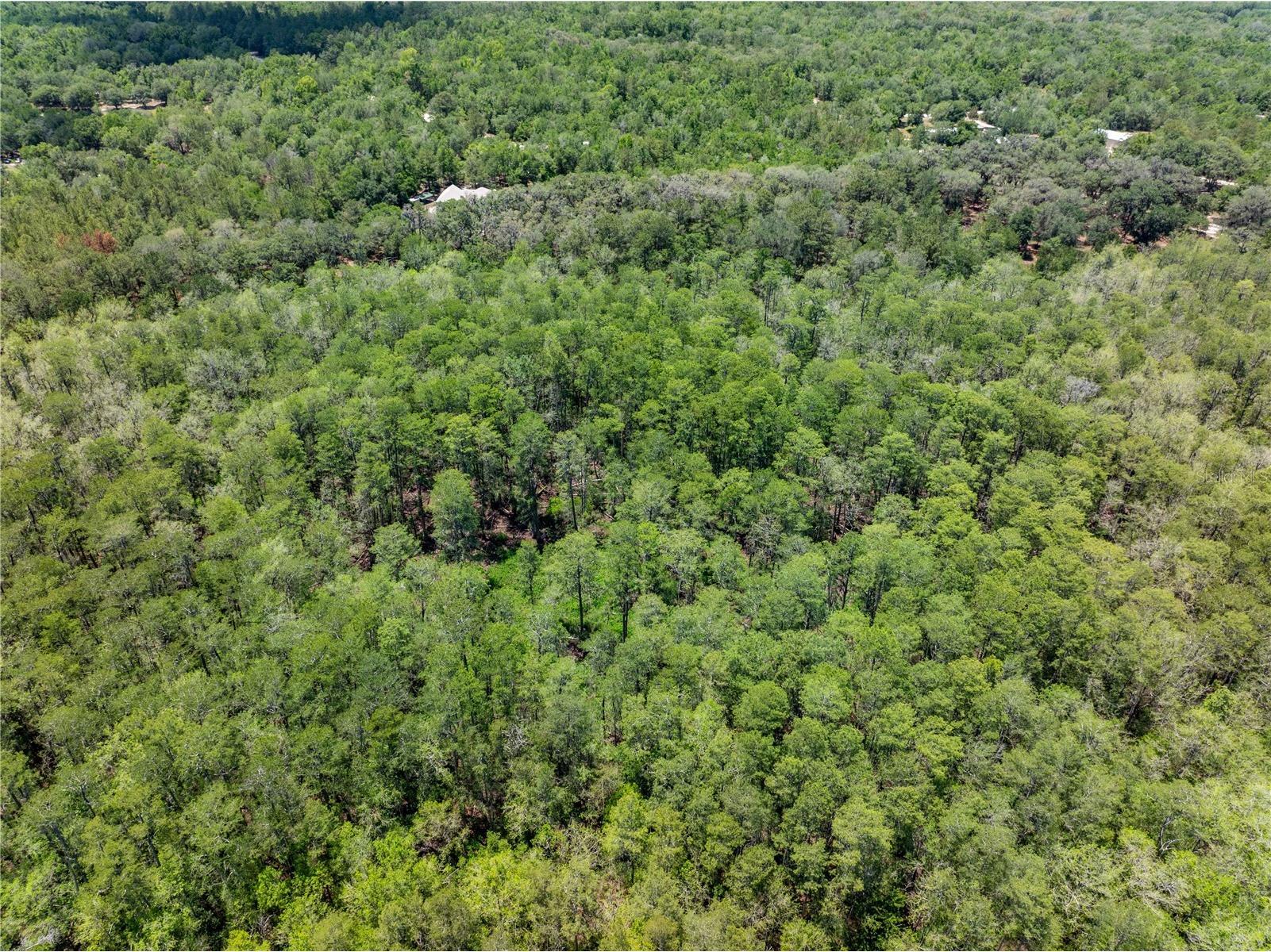Lot 46 SW Roanoke Terrace Fort White FL 32038 GC540541 image13
