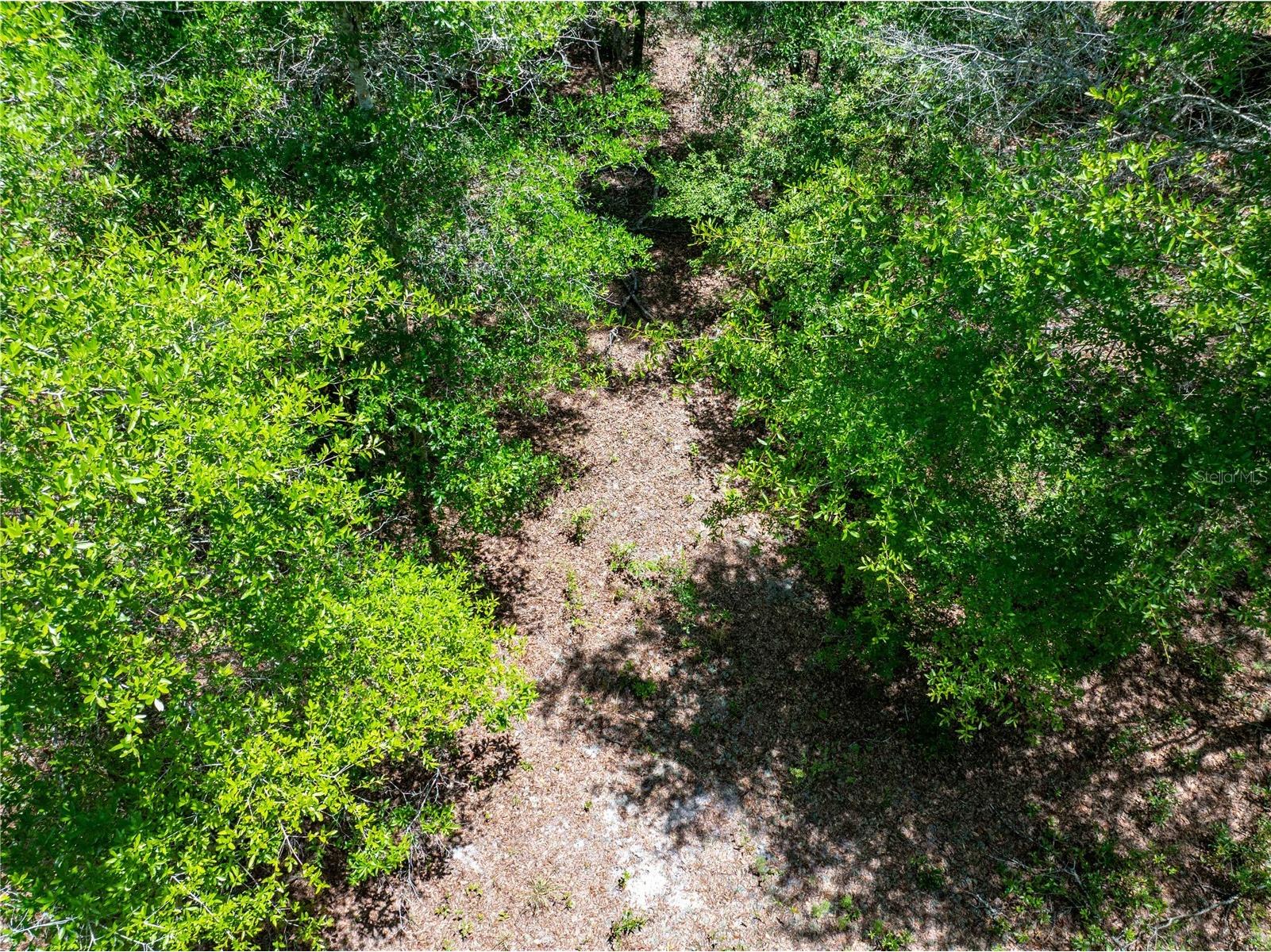 Lot 46 SW Roanoke Terrace Fort White FL 32038 GC540541 image14