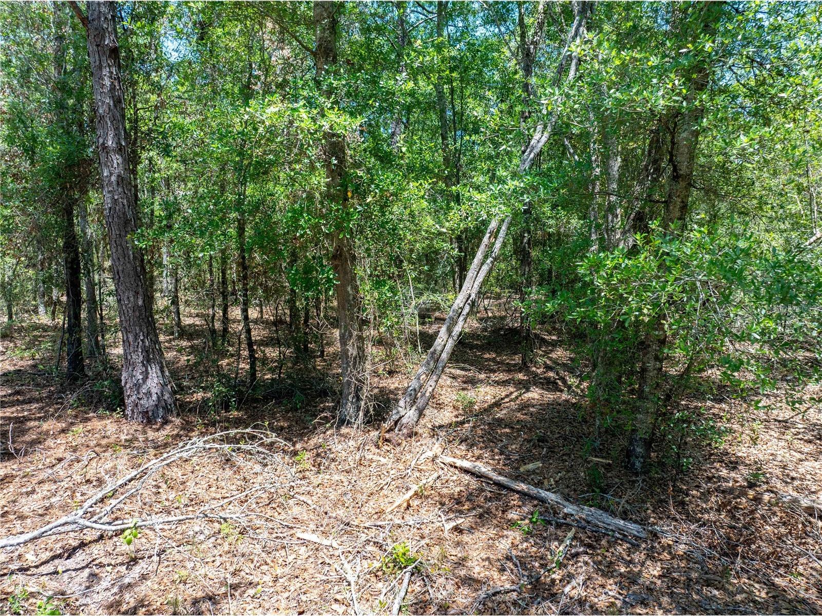 Lot 46 SW Roanoke Terrace Fort White FL 32038 GC540541 image16