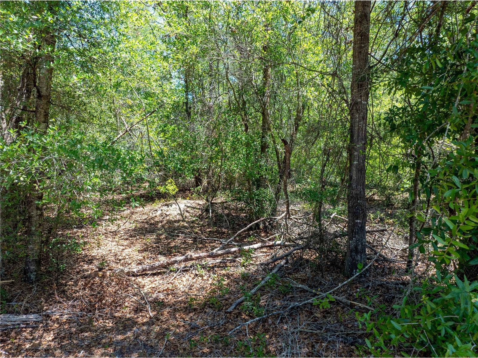 Lot 46 SW Roanoke Terrace Fort White FL 32038 GC540541 image17