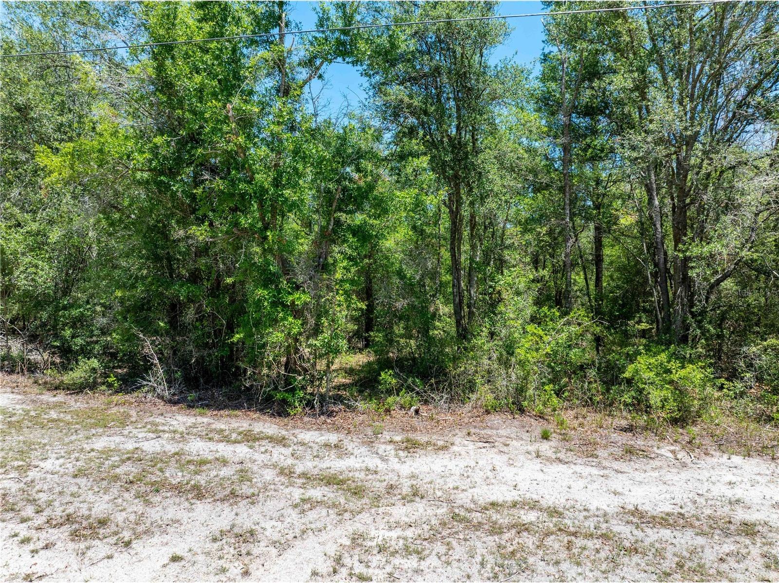 Lot 46 SW Roanoke Terrace Fort White FL 32038 GC540541 image2