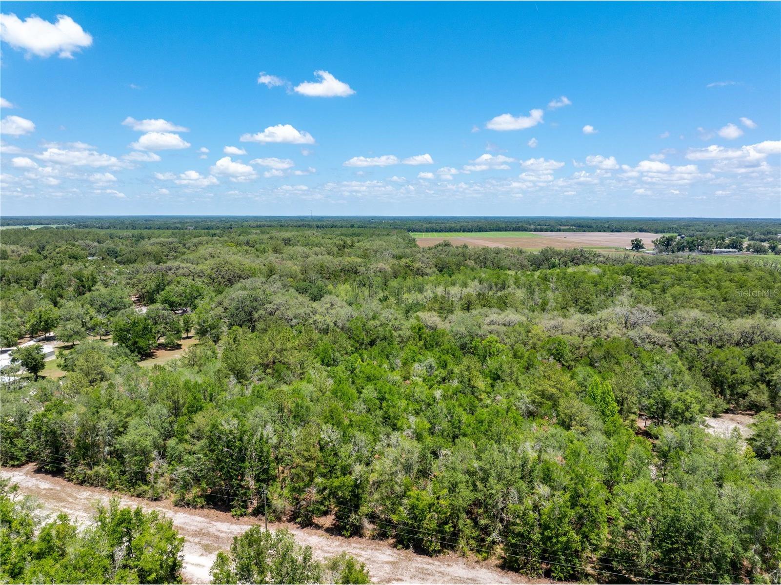 Lot 46 SW Roanoke Terrace Fort White FL 32038 GC540541 image3