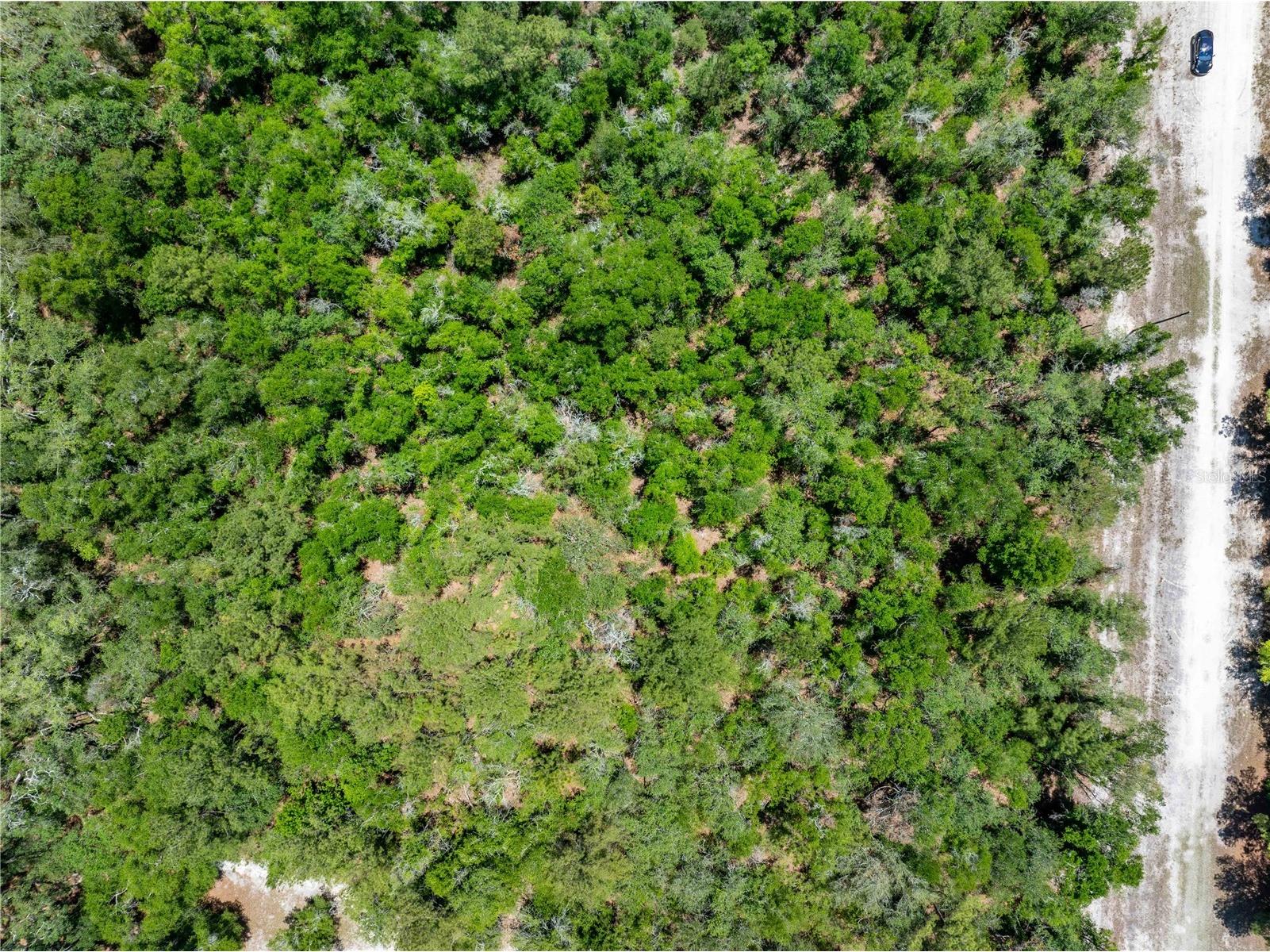 Lot 46 SW Roanoke Terrace Fort White FL 32038 GC540541 image8
