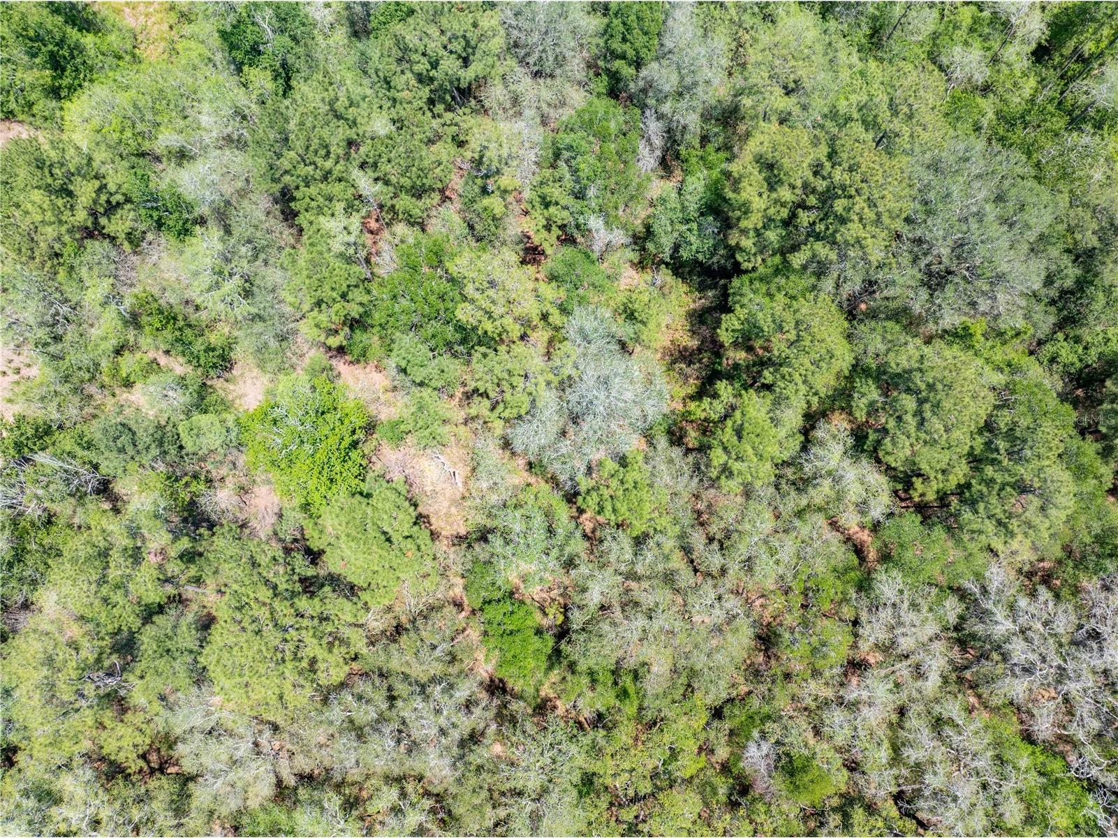 Lot 46 SW Roanoke Terrace Fort White FL 32038 GC540541 image9