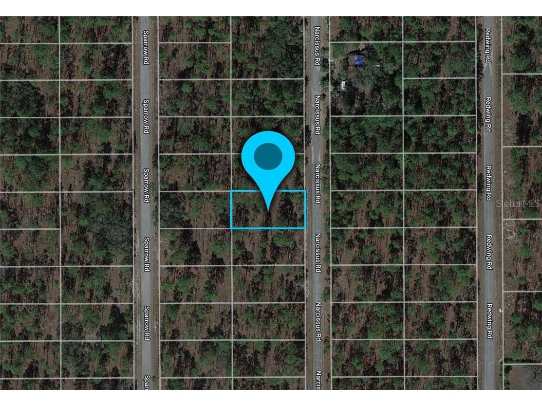 Lot 47 NW Narcissus Road Dunnellon FL 34431 G5084053 image1