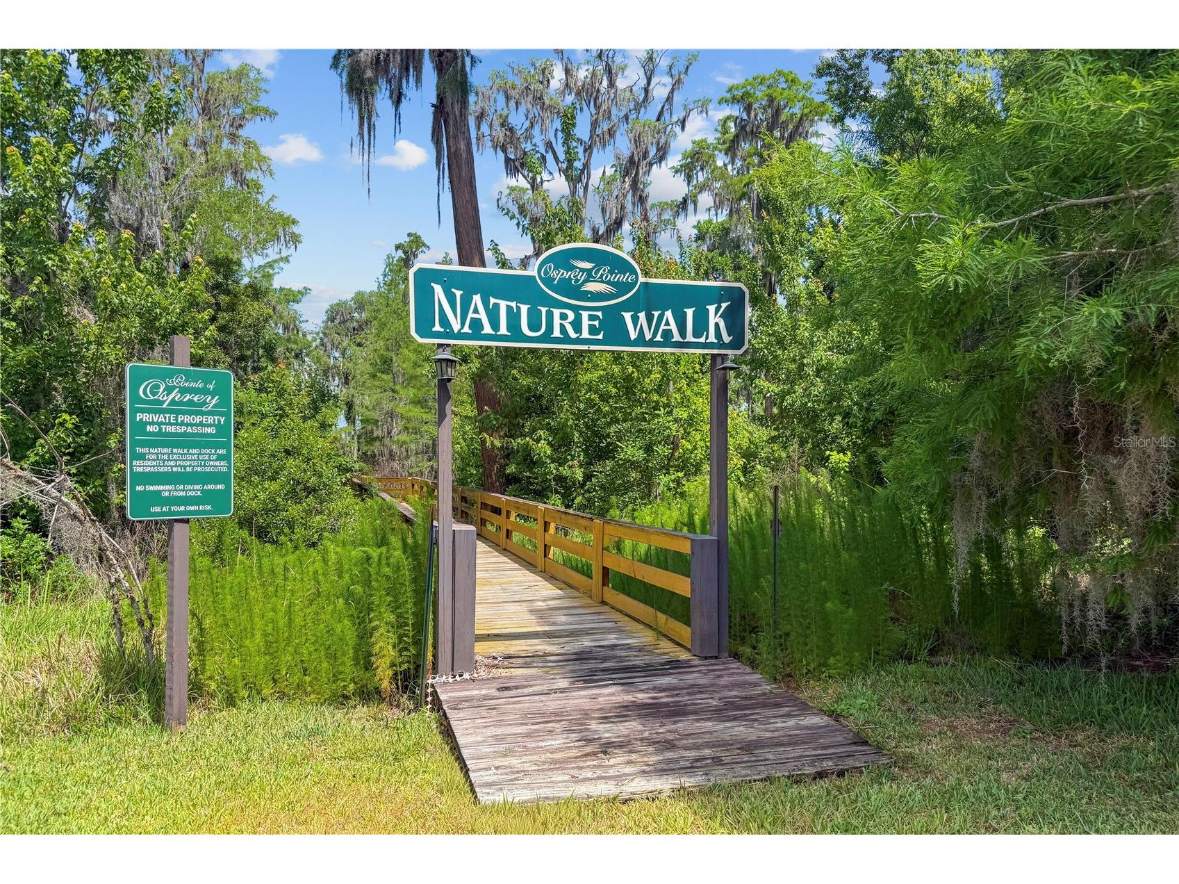Lot 47 Osprey Pointe Boulevard Clermont FL 34711 - LAKE MINNEHAHA O6406268 image8