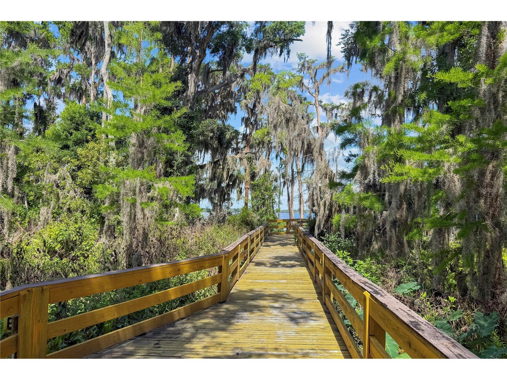 Lot 47 Osprey Pointe Boulevard Clermont FL 34711 - LAKE MINNEHAHA O6406268 image9