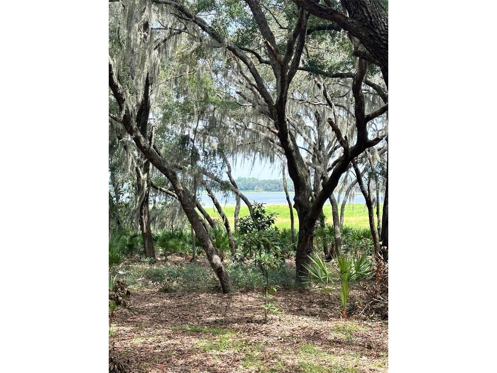 Lot 473 SW Shorewood Drive Dunnellon FL 34431 - LAKE BONABLE OM684779 image1