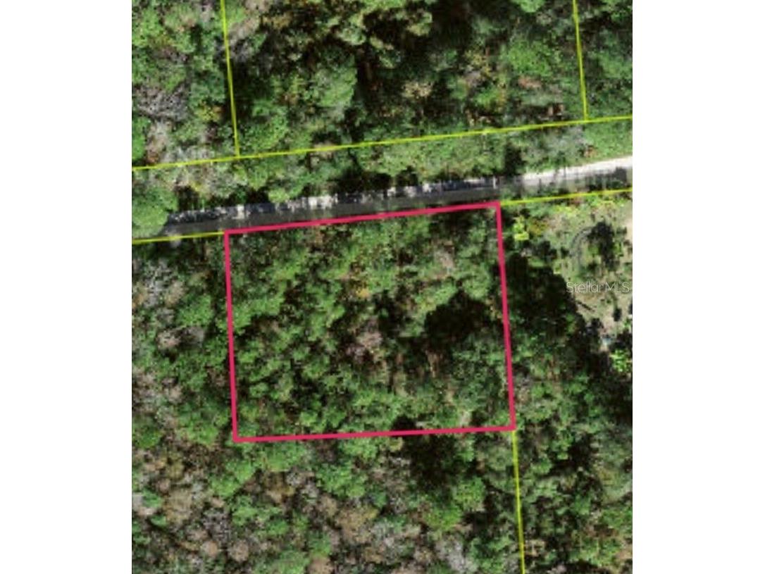 Lot 48 Amelia Trail Kissimmee FL 34747 S5147245 image1