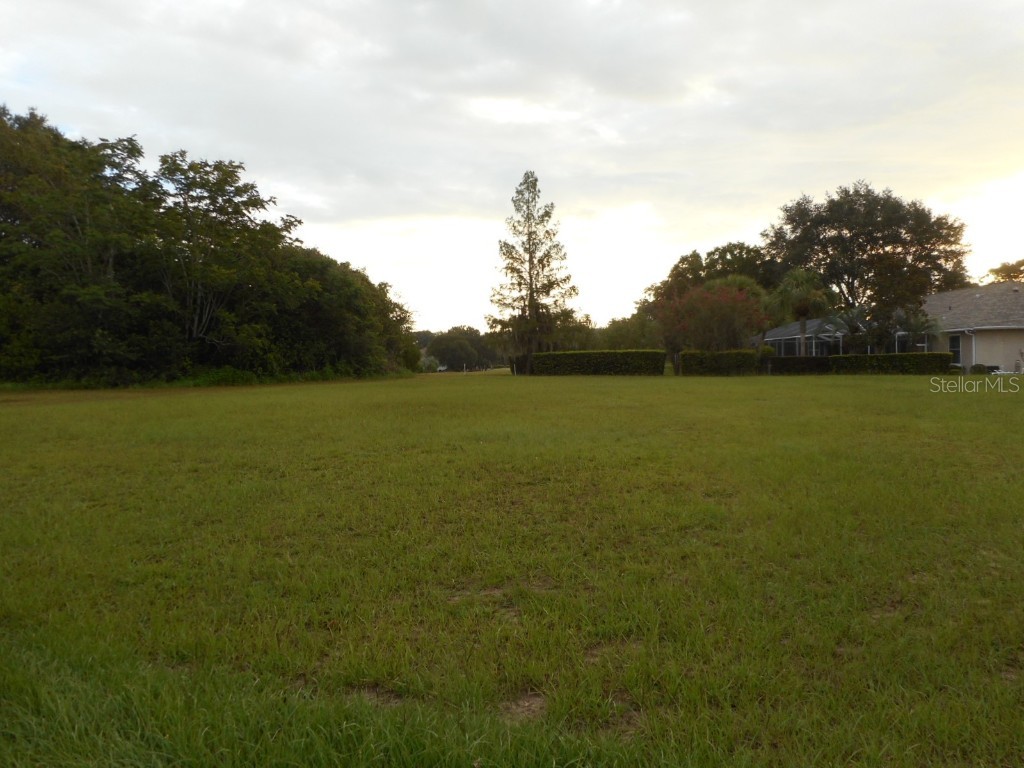 Lot 49 SW 196th Avenue Dunnellon FL 34432 OM661759 image1