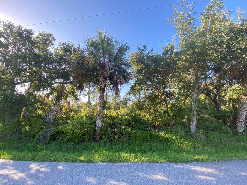 Lot 5 & 6 De Herreda Drive North Port FL 34287 A4658499 image1