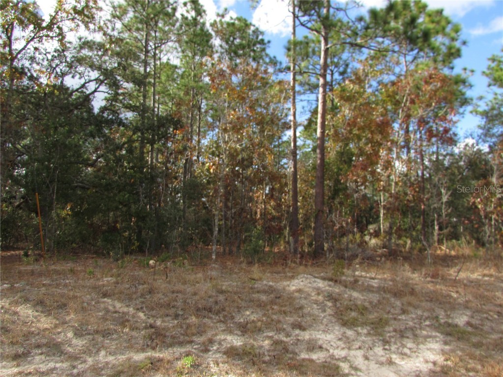 Lot 5 & 6 SW 168 Circle Ocala FL 34481 OM691524 image1