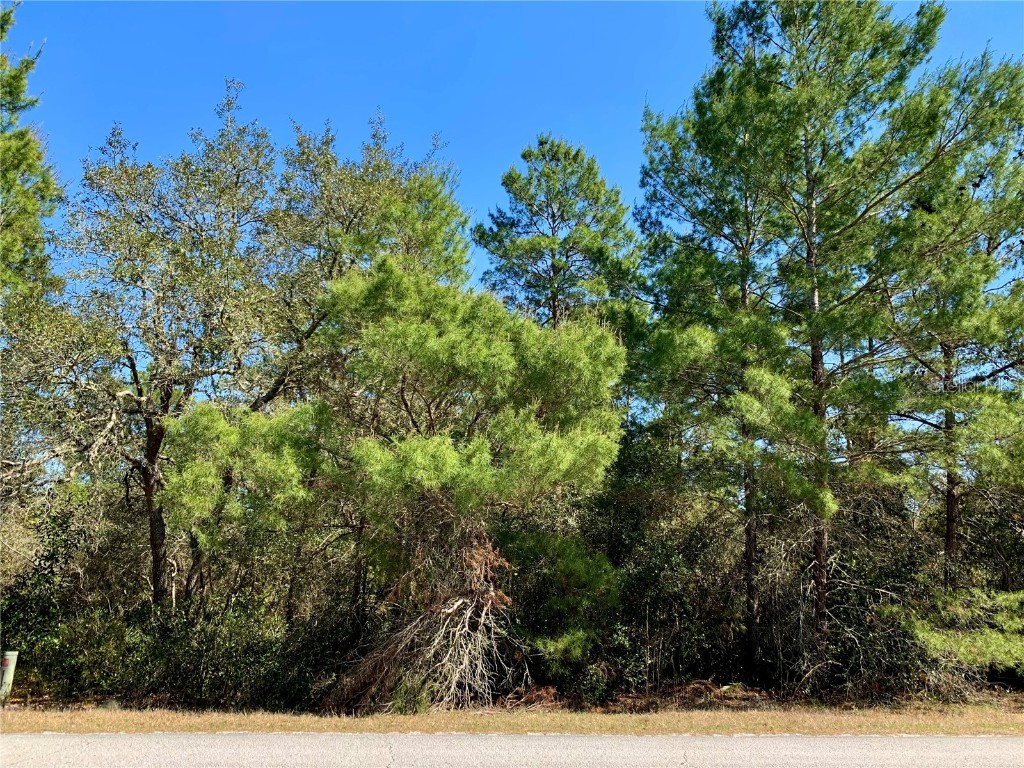 Lot 5 Aspen Street Eustis FL 32736 - LAKE NORRIS G5052546 image1