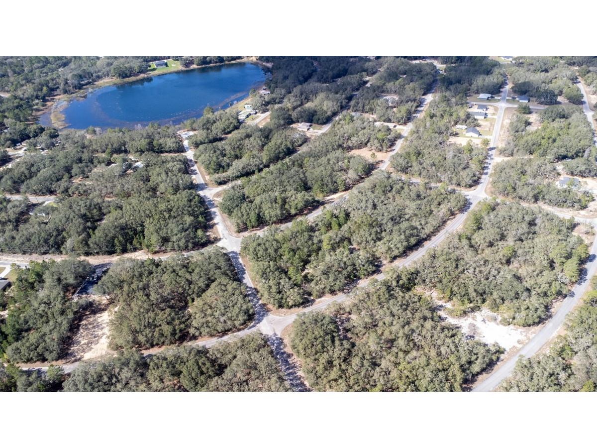 Lot 5 Fisher Terrace Ocklawaha FL 32179 A4599739 image1
