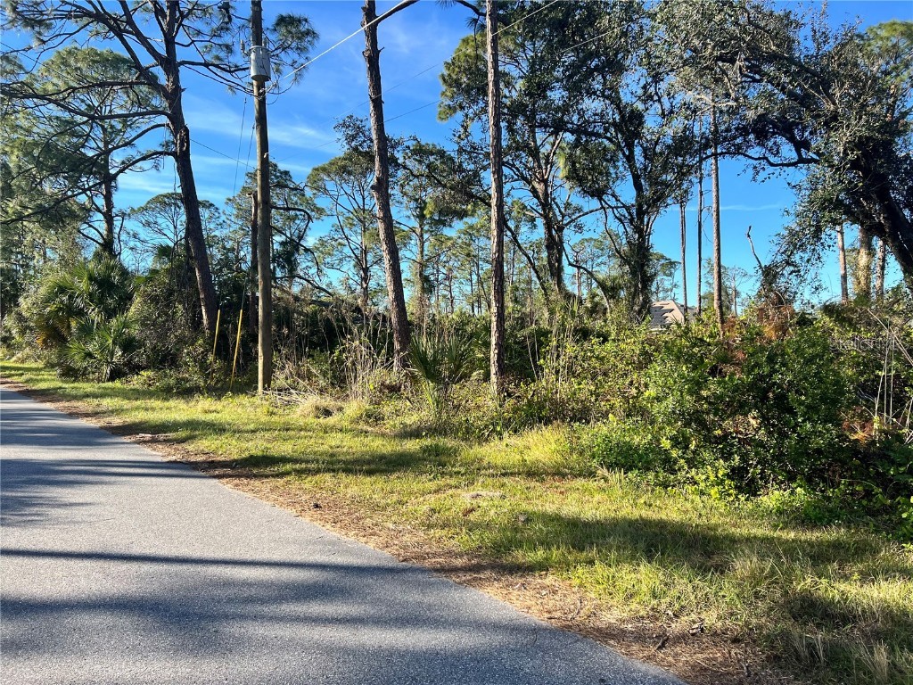 Lot 5 Gravelmann Road #LOT 5 North Port FL 34291 A4634141 image3