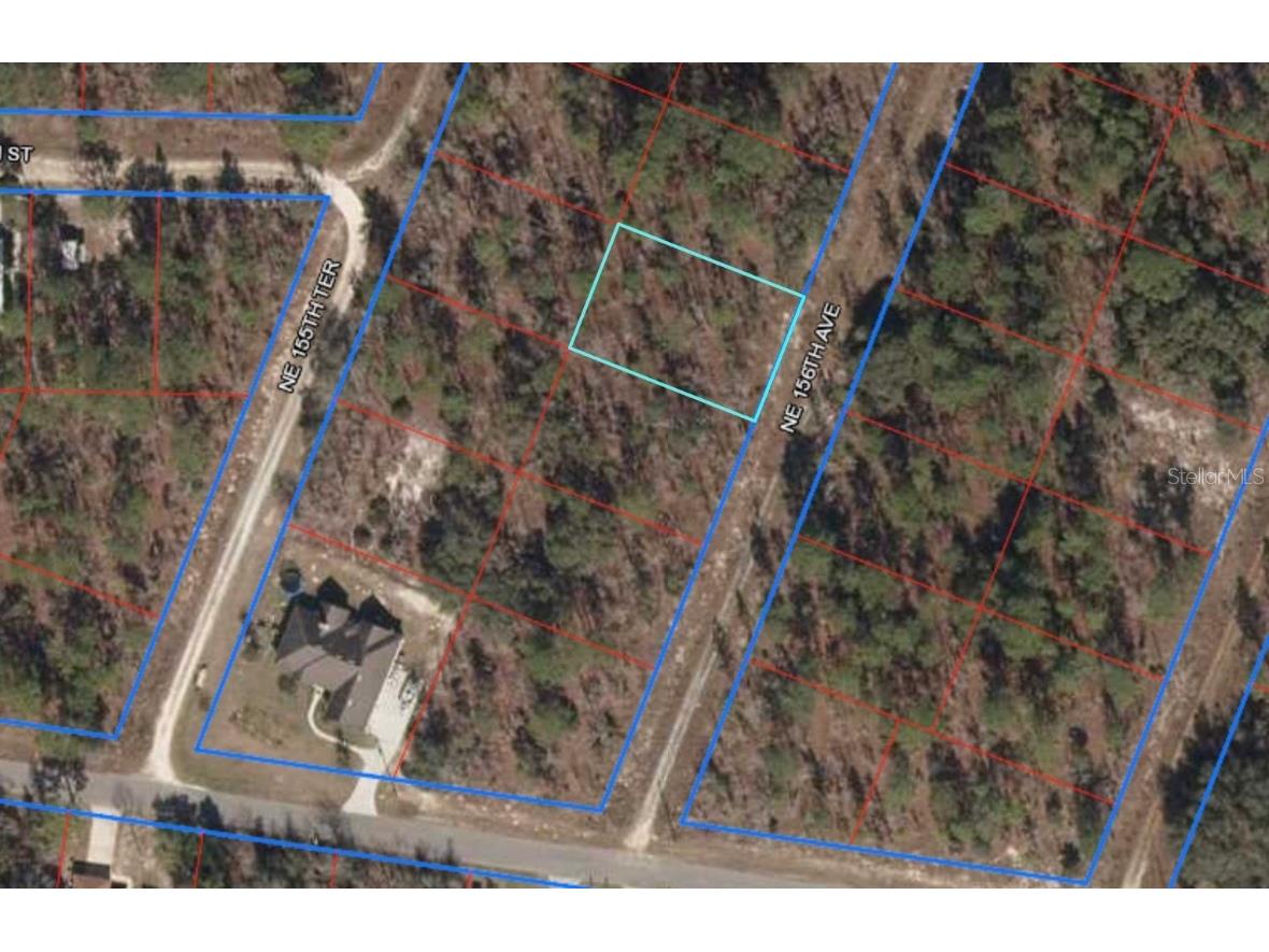 Lot 5 NE 156 Avenue Williston FL 32696 OM680187 image1