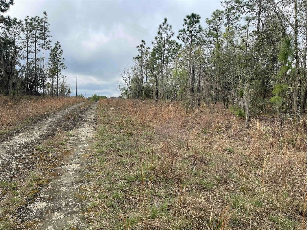 Lot 5 NE 156 Avenue Williston FL 32696 OM680187 image2