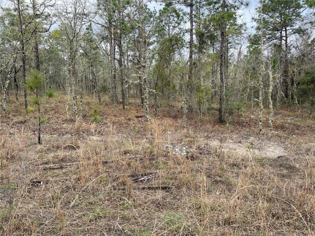 Lot 5 NE 156 Avenue Williston FL 32696 OM680187 image3