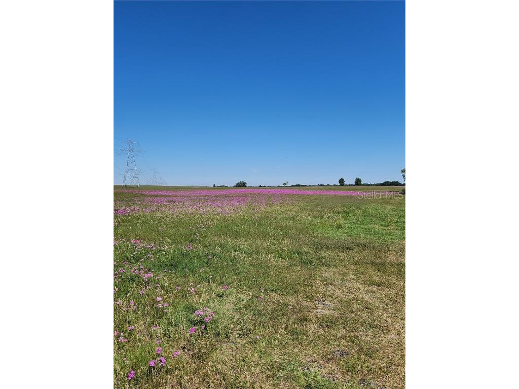 Lot 5 NW 102nd Boulevard Wildwood FL 34785 G5080606 image1