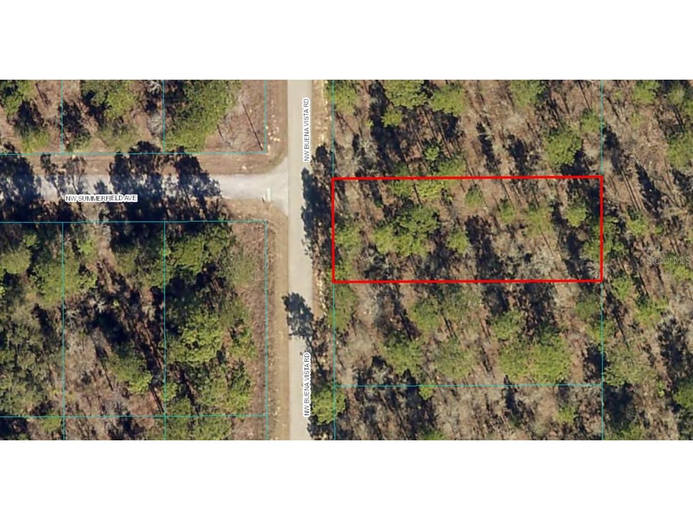 Lot 5 NW Buena Vista Road Dunnellon FL 34431 OM657014 image1