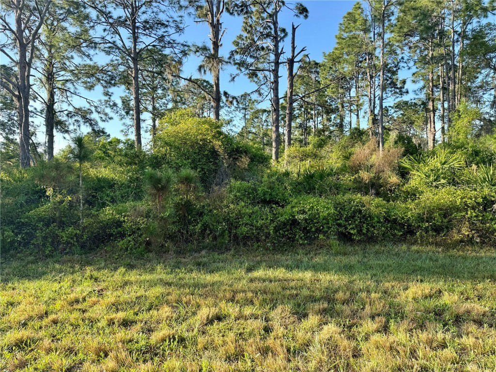 Lot 5 Paso Avenue North Port FL 34291 C7489510 image1