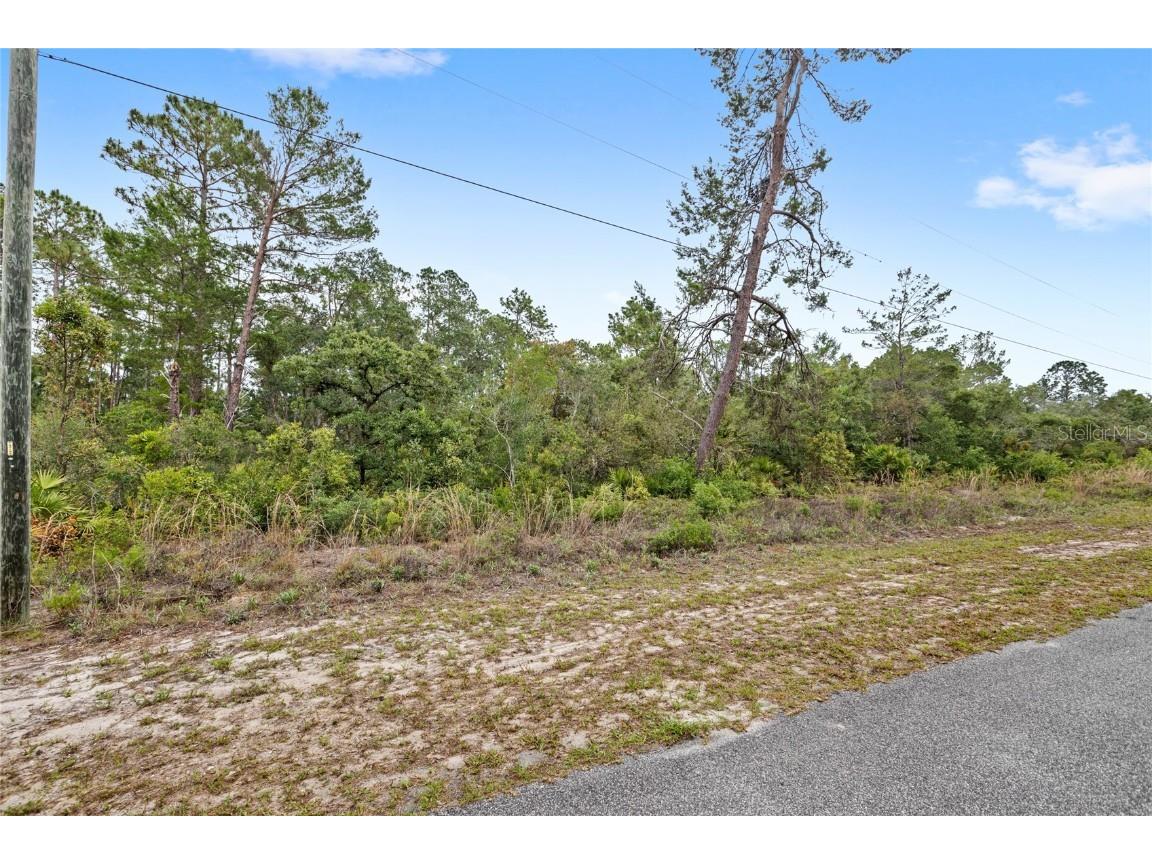 Lot 5 Persimmon Street Eustis FL 32736 - LAKE NORRIS O6309391 image5