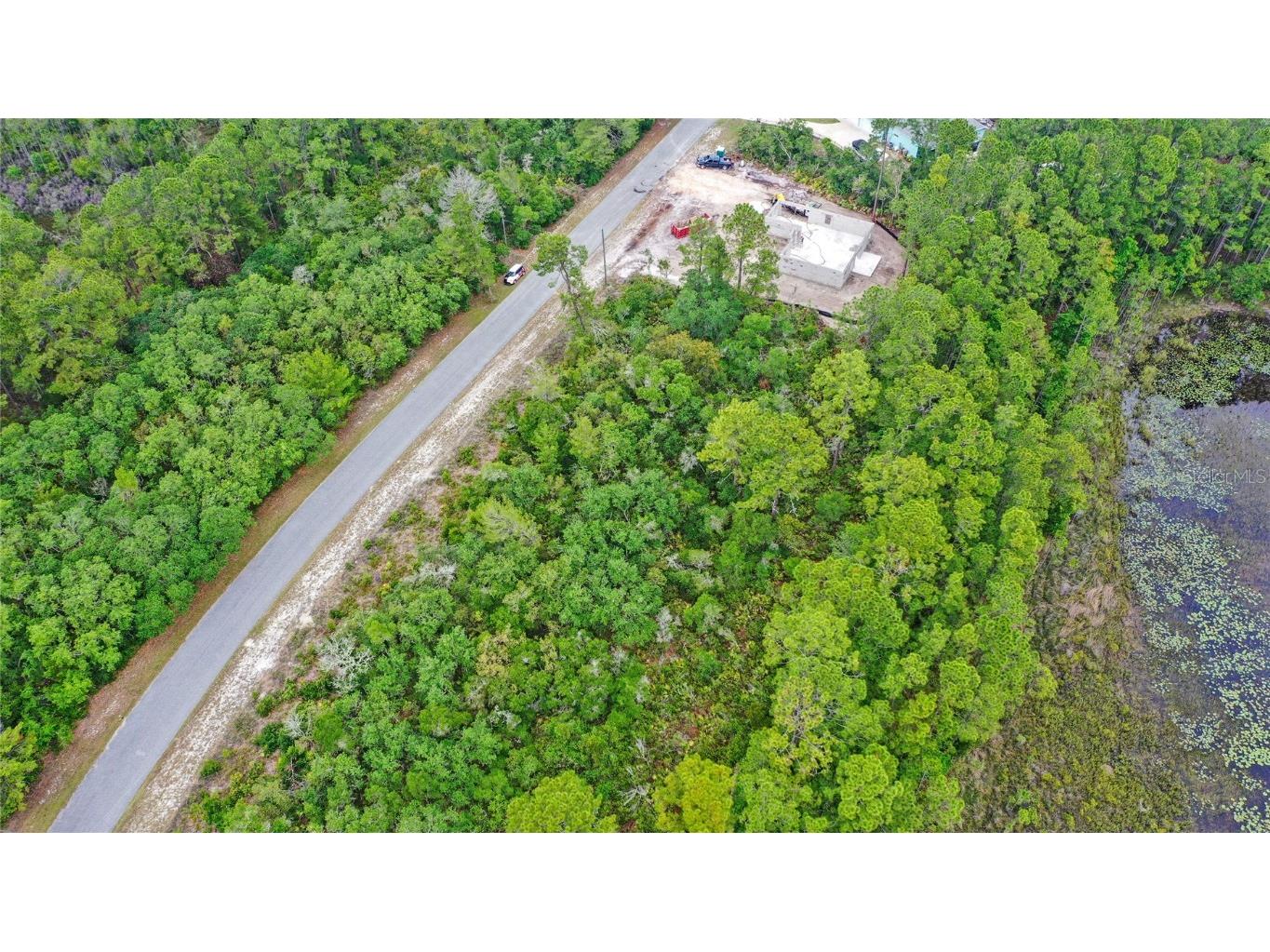 Lot 5 Persimmon Street Eustis FL 32736 - LAKE NORRIS O6309391 image6