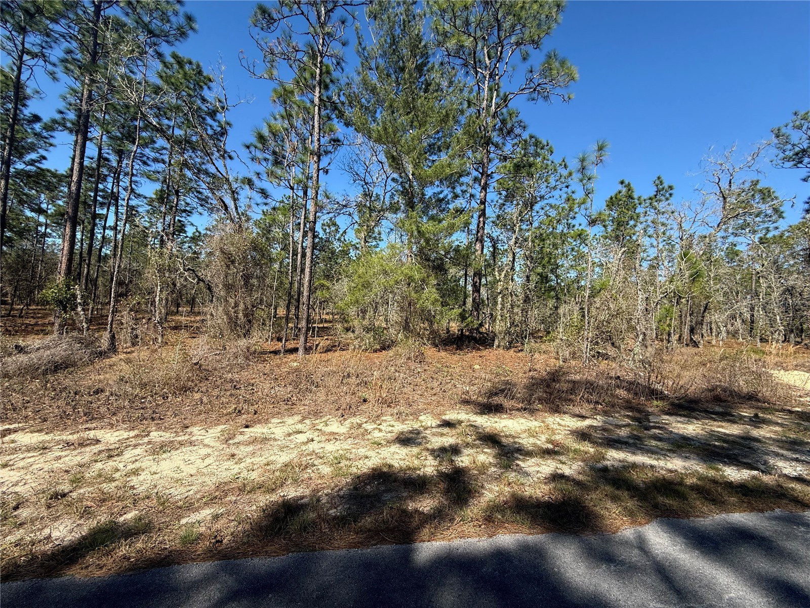 Lot 5 SE 130 Court Dunnellon FL 34431 TB8485155 image1