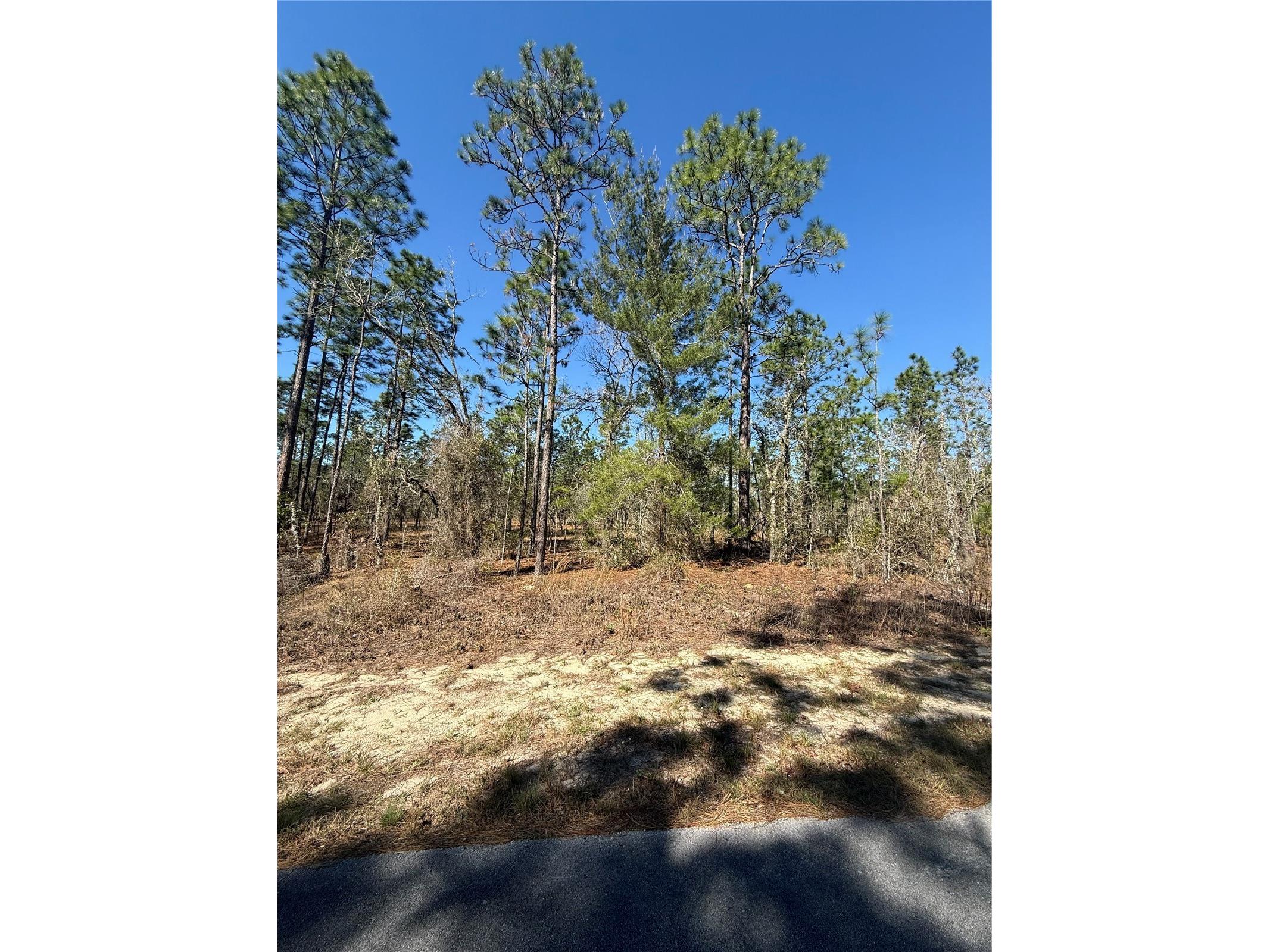 Lot 5 SE 130 Court Dunnellon FL 34431 TB8485155 image2