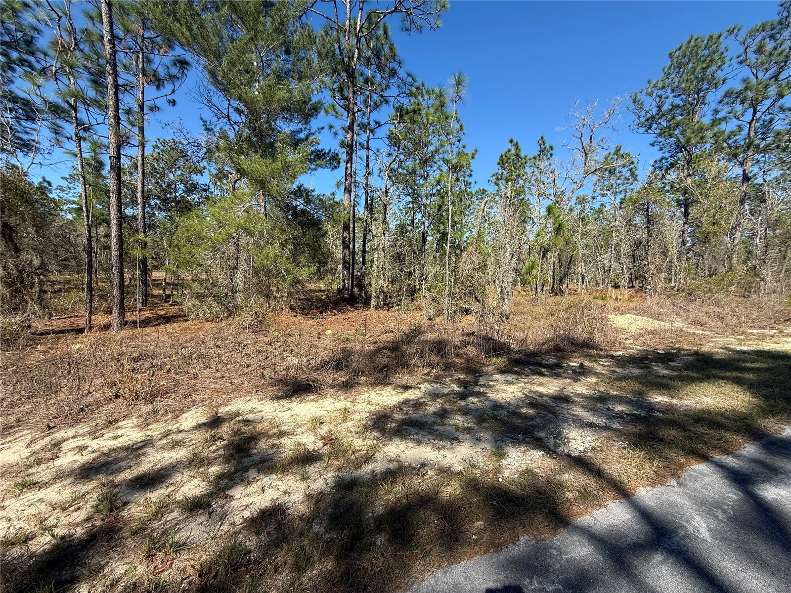 Lot 5 SE 130 Court Dunnellon FL 34431 TB8485155 image3