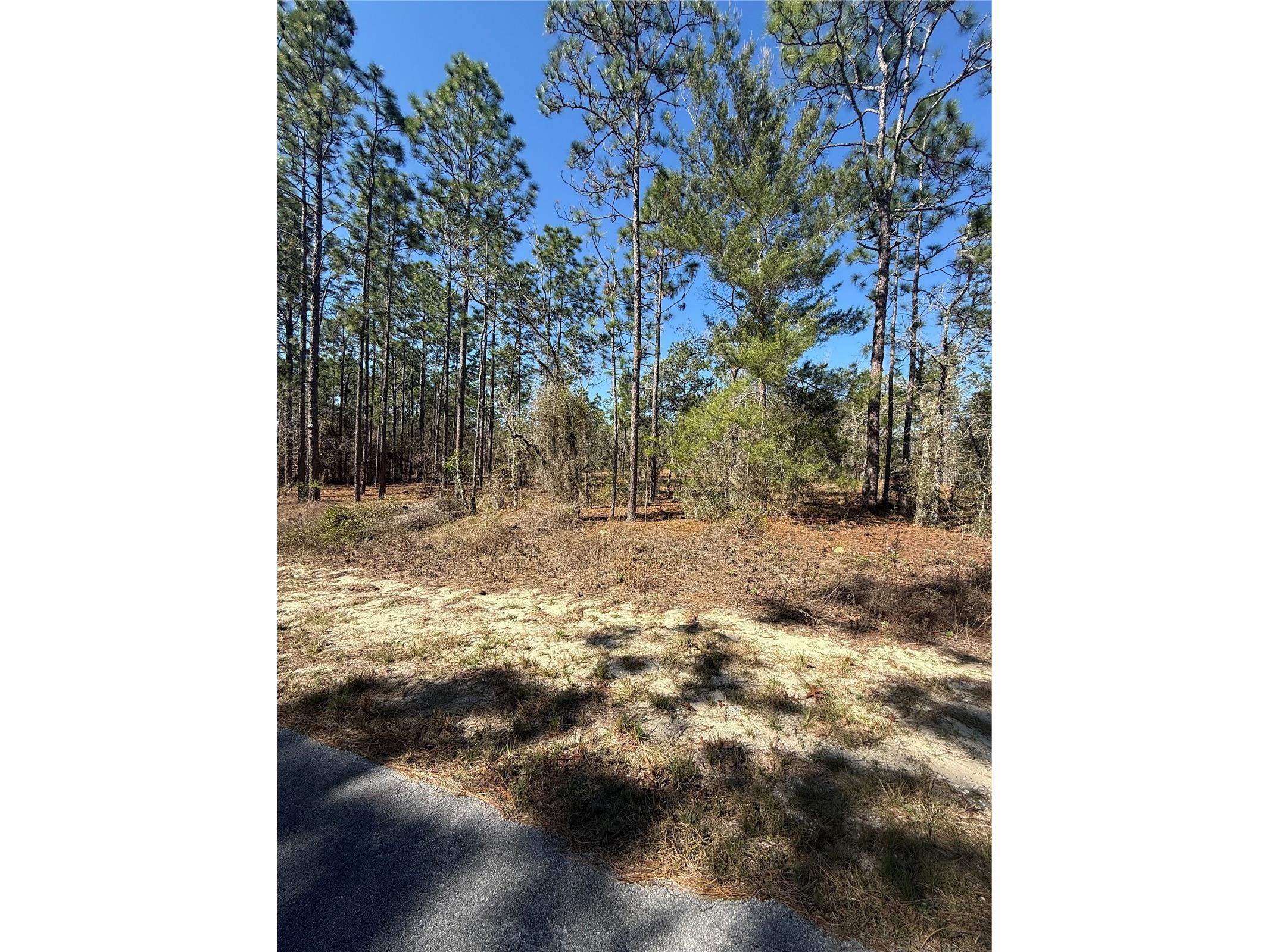 Lot 5 SE 130 Court Dunnellon FL 34431 TB8485155 image4