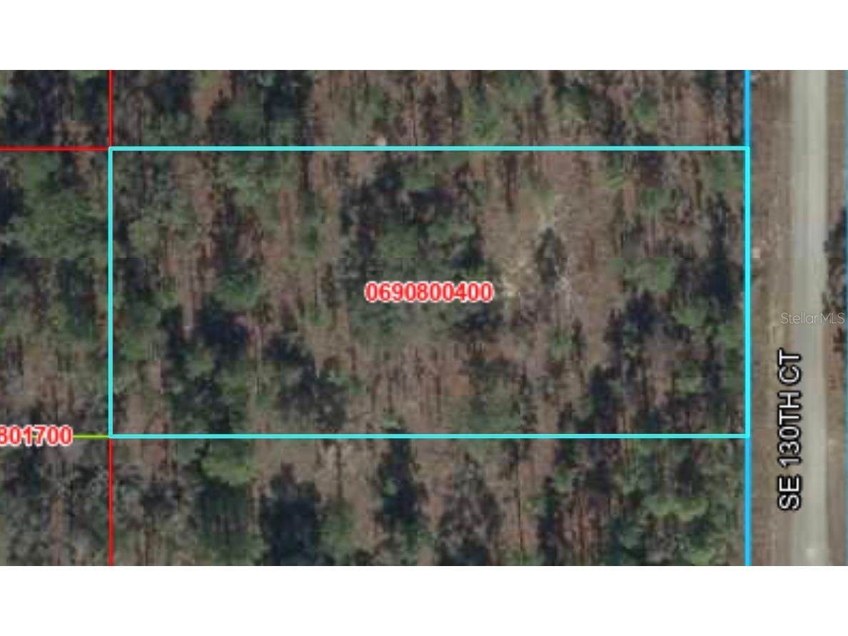 Lot 5 SE 130 Court Dunnellon FL 34431 TB8485155 image5