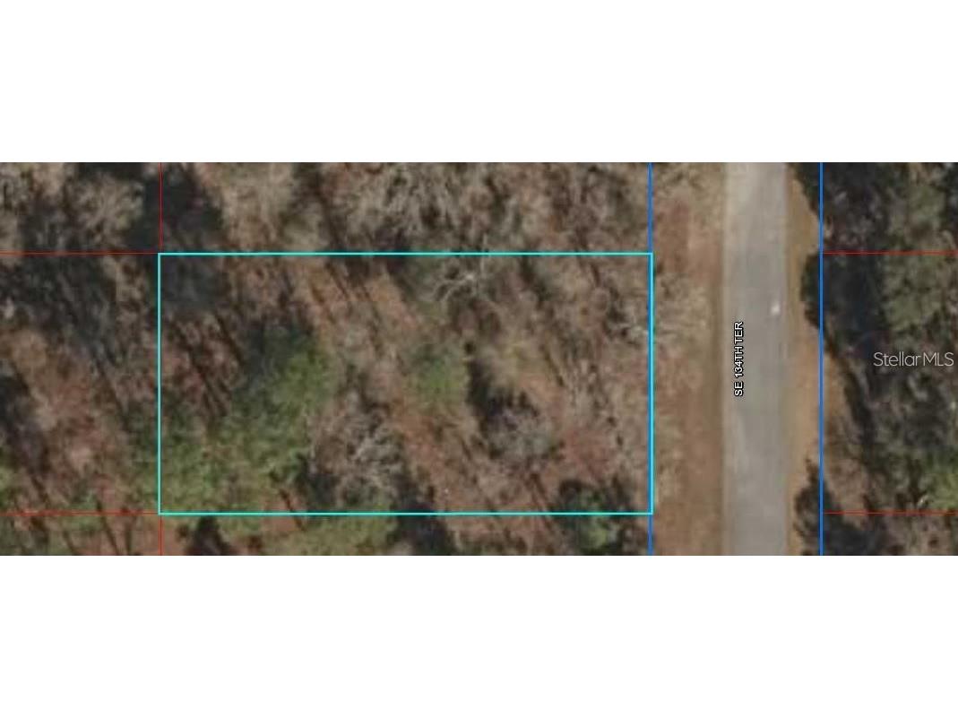 Lot 5 SE 134th Terrace Dunnellon FL 34431 OM699604 image1