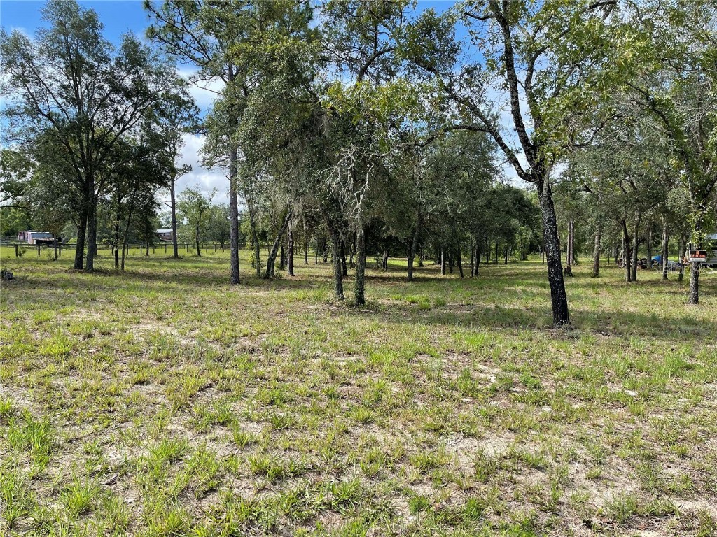 Lot 5 SE 23 Place Morriston FL 32668 OM659029 image1