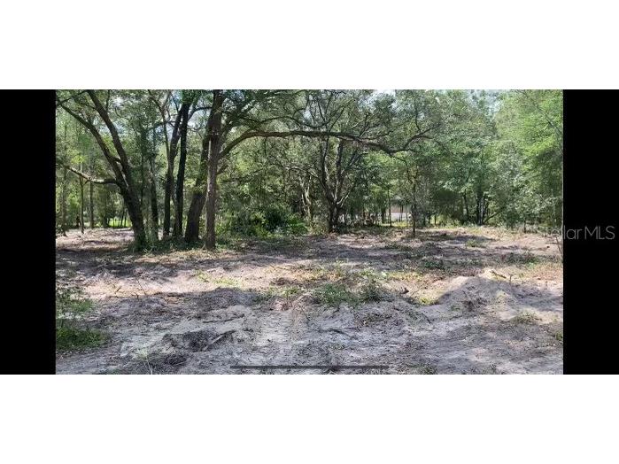 Lot 5 SE 82nd Street Morriston FL 32668 OM684500 image1