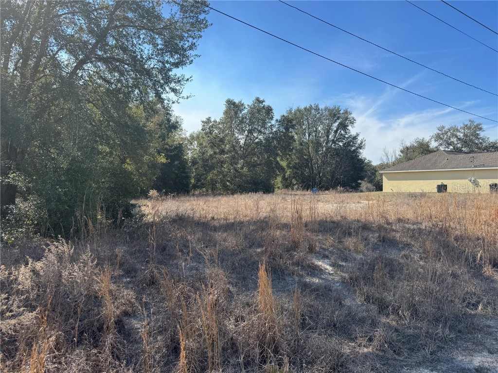 Lot 5 SW 108th Street Dunnellon FL 34432 OM694177 image3