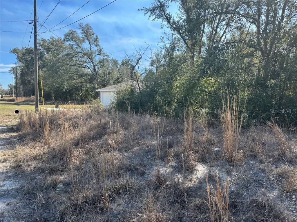Lot 5 SW 108th Street Dunnellon FL 34432 OM694177 image4
