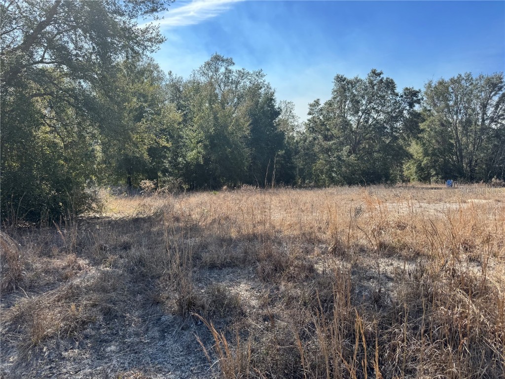 Lot 5 SW 108th Street Dunnellon FL 34432 OM694177 image6